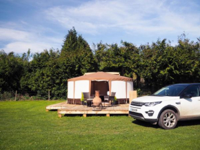 Old Dairy Farm Glamping, Emsworth